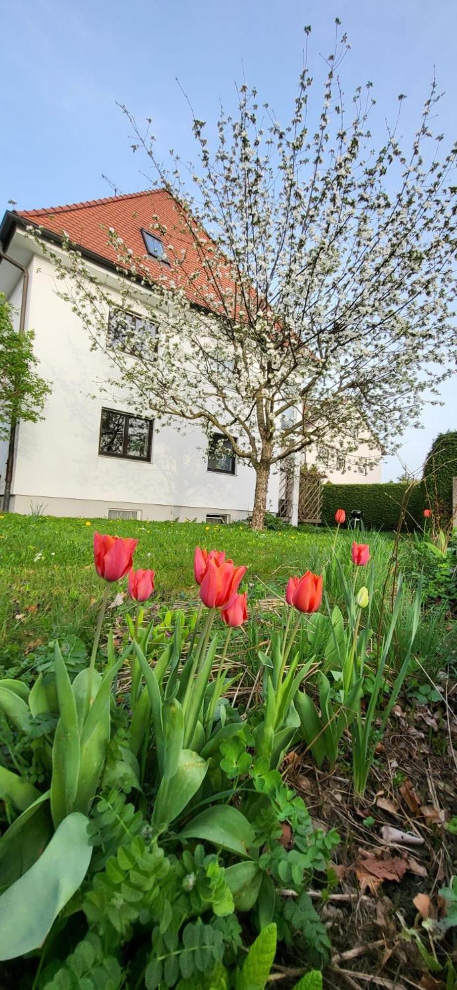 Allgaeu Retreat Bad Wörishofen Dış mekan fotoğraf